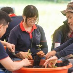 透過植樹活動(dòng)落實(shí)減碳淨(jìng)零的計(jì)畫，新業(yè)希望以行動(dòng)展現(xiàn)對這片寶島土地的關(guān)懷，齊心打造綠色永續(xù)環(huán)境。