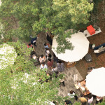 森林裡的春日漫遊，在陽光下放鬆身心，沿著小徑慢慢散步，靜靜地為自己充電，收集生活中的簡單美好。