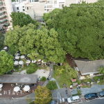 植物茂密繁盛，書香氣息瀰漫，1863坪內(nèi)的百年榕樹，樹大根深的高木，伴隨其他樹種，更顯綠意盎然的景致。