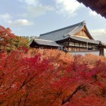 楓紅灑落，一片紅海蔓延至東福寺通天閣，一片靜謐彷若與世無爭的世外桃源。