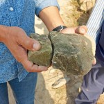 選擇表面上有些許青苔的「苔石」，作為溪流瀑布區(qū)的砌石。將天造之物與『大塊森鄰』的日常景色融合為一。