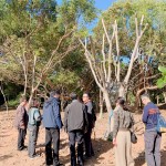 親自確認(rèn)並檢查樹種的生長(zhǎng)狀況，看葉片茂盛程度與樹形，彷彿能預(yù)見社區(qū)未來的質(zhì)感一景。
