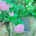 枕在石上的手札本，藏在詩中的少女情懷正等著誰翻閱？