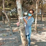 選定每棵樹木後，新業(yè)團隊會以紅色緞帶繫上樹幹紀錄，宛如為櫸木與『築之細道』之間密不可分的「紅線」。