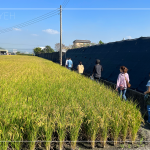 有用心栽培的樹種，新業(yè)便踏著腳步前往尋蹤，期望樹木與建築能自然地融合，
模糊與天地大美的界線。