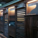 在黃光暈染下，貓也慵懶地窩著身子，大樹時而抖落紅葉，正等待著，有人攜書悄然來到……