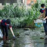 河中的前三名殺手──菸蒂、破碎塑膠袋、瓶蓋吸管，易被小魚小蝦或青蛙誤食。