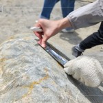 以鋁箔膠帶為記，牽起與新業(yè)的緣分，等待時(shí)機(jī)，即將坐落臺(tái)中『大塊森濤』社區(qū)，延續(xù)自然與人文的美好記憶。