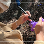 在綁樹帶寫上樹種及編號，每一顆樹都有了印記，都是經(jīng)由新業(yè)職人團(tuán)隊(duì)的專業(yè)見解，及審慎評估後決定出的結(jié)果。我們相信：「不只是我們選樹，樹也在選擇一個值得託付終身的對象」。