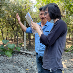 林宜鋒建築師(右一) 與景觀設(shè)計(jì)團(tuán)隊(duì)從不同方向繞樹觀察評估，擇樹考量的方方面面，任何角度都要達(dá)到美的平衡。