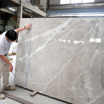 石材表面帶有自然的紋理與色澤，彷彿大地沉積歲月的筆觸，內(nèi)斂卻蘊含力量，新業(yè)職人以獨到眼光揀選，成為空間裡最具靈魂的表達(dá)。