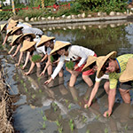 大熱天不忘抬頭對(duì)著攝影師say Cheese！