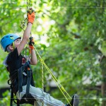 注視著樹頂?shù)墓庥埃O(shè)定小小的目標(biāo)，努力在有限的時(shí)間內(nèi)達(dá)到樹冠層。