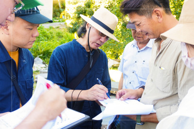 新業(yè)心選品｜築夢(mèng)踏石 尋覓樹影