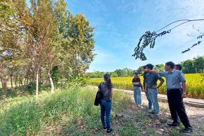 新業(yè)心選品｜築之細(xì)道 在地選樹