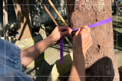 新業(yè)心選品｜尋覓樹影的框景