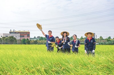 新業(yè)一畝田｜走過11年，心像一畝田
