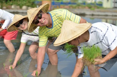 新業(yè)，一畝田插秧體驗(yàn)日