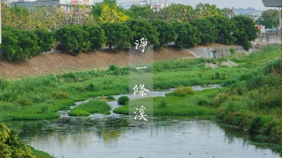 與自然共好｜一步一腳印，守護(hù)淨(jìng)土友善